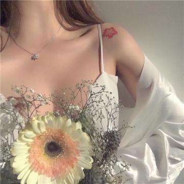 三国美少女游戏